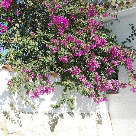 别墅 Fantastic Renovated Annex