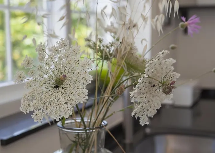 Fantastic Renovated Annex Villa Fuengirola