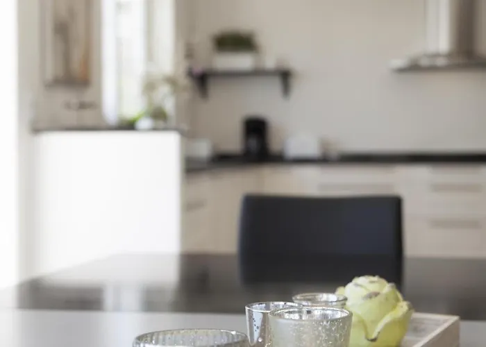 Fantastic Renovated Annex 别墅 *