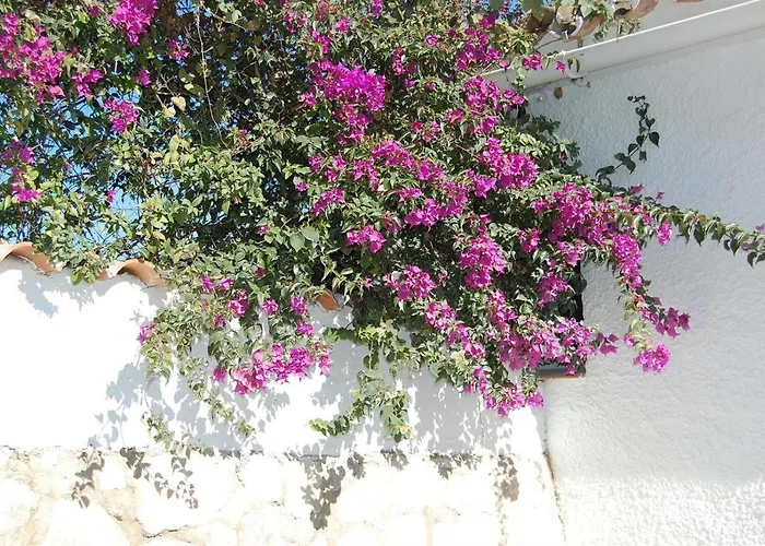 别墅 Fantastic Renovated Annex