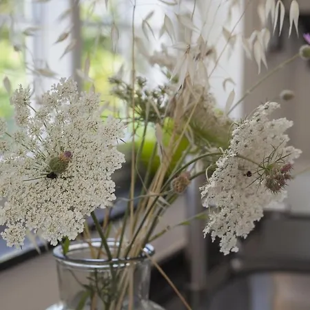 Fantastic Renovated Annex ヴィラ フエンヒロラ